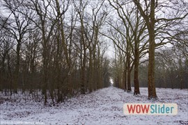 20130223_cdrp91mennecy_0012