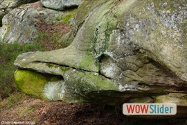 20130517_apremont_0041