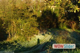 20131124_breuillet_0020