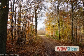 20141123_circuit_de_satory_0050