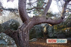 20141207_les_grands_avaux_0033